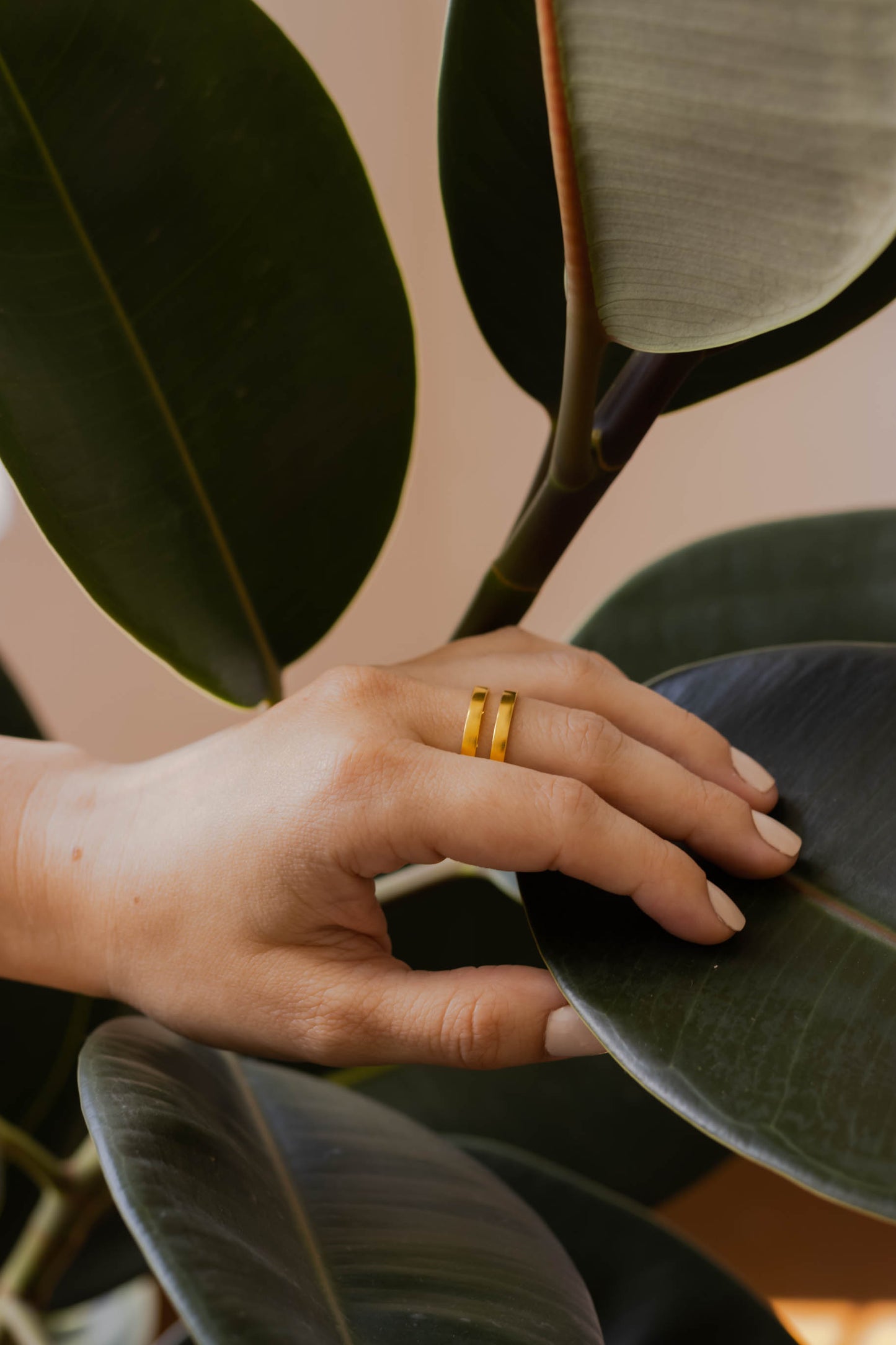 Anillo LIN 1