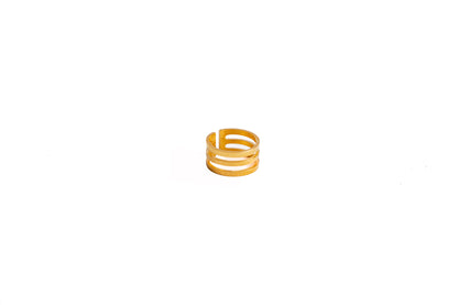Anillo LIN 2