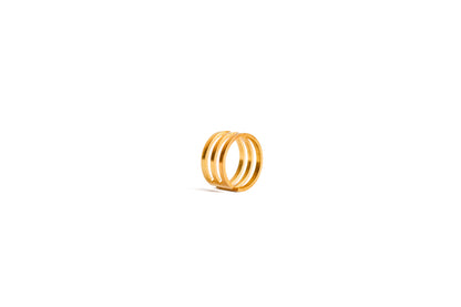Anillo LIN 2